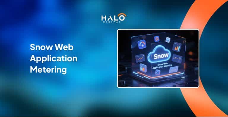 Snow Web Application Metering